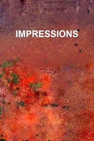 Impressions