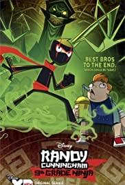 Randy Cunningham: 9th Grade Ninja