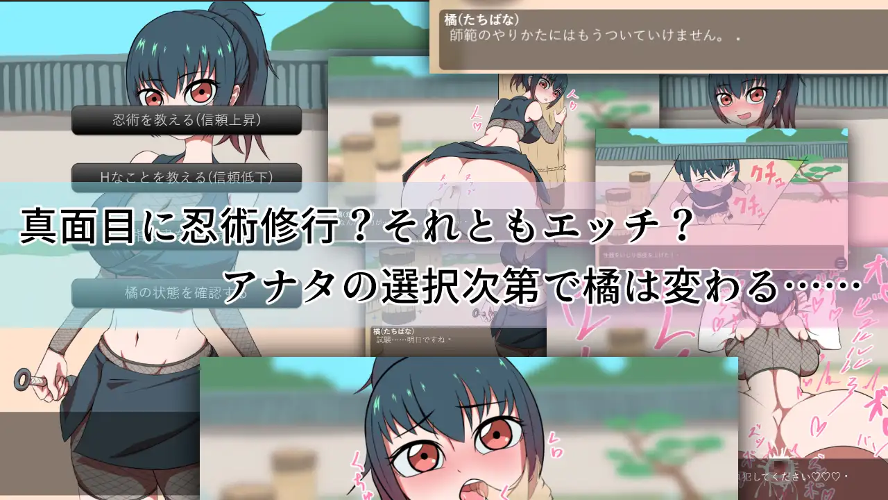 互动SLG/汉化丨くノ一橘の身体を14日間の個人修練で敏感に開発しました 对女忍者橘的身体进行14天的个人修炼开发使得更加敏感 【20251203】 游戏截图 1