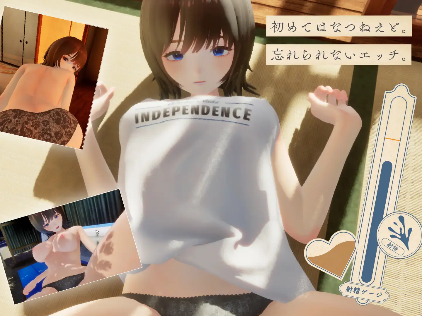互动3D/触摸抚摸/动态丨夏姐姐 ～我恋爱的30天～ なつねえ ～僕が恋した30日～ ver1.10 内嵌AI汉化版 去码版+自带全回想+服装存档 【20260107】 游戏截图 8