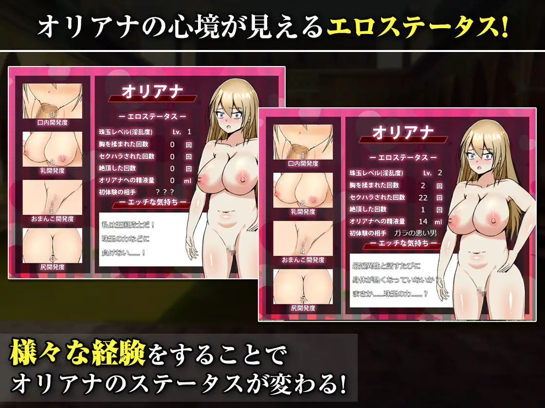RPG/汉化丨王国的勇骑士奥莉安娜/王国の勇騎士オリアナ/v1.0.0 2026年05月09日 0时AI汉化 pc 【20260514】 游戏截图 1
