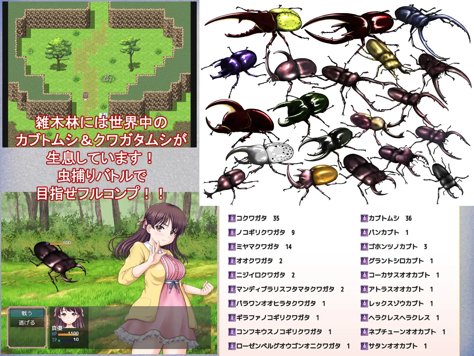 日系RPG/AI汉化/双端丨重温那快乐的田舎暑假 あの楽しかった田舎での夏休みをもう一度… v1.02【20260514】 游戏截图 7
