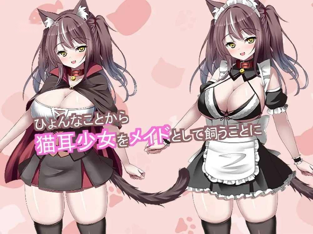 [SLG] 猫耳メイドを飼いはじめました ～猫耳メイドとのイチャラブ同性生活～/生肉+动态【20260716】 游戏截图 3