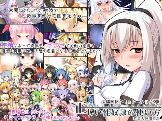 [精品SLG/NTR/CV]性奴隶的正确使用方法-暗黑大陆开拓记-正しい性奴隷の使い方-暗黒大陸開拓記- v2.2.0汉化版【20260905】 游戏截图 1