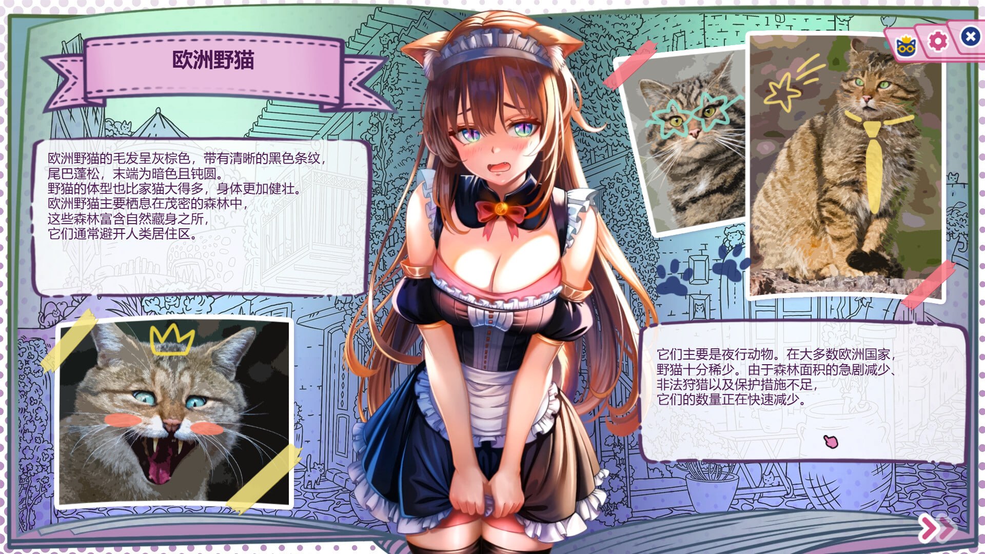 [SLG官中PC动态无码]猫娘百科：寻找她的小尾巴 Nekopedia Find Her Tail【20260916】 游戏截图 5