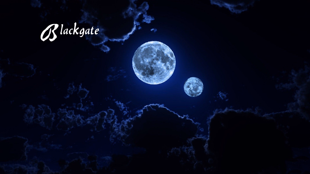 黑门镇:魔物娘的狂欢(Blackgate)v0.187 精翻汉化 游戏截图 1