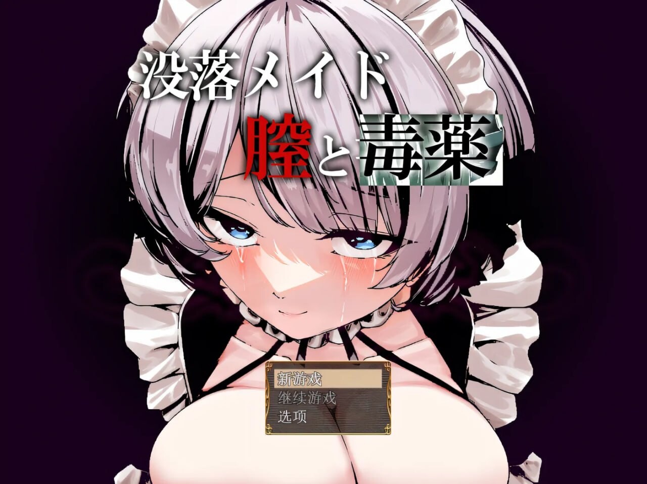 RPG汉化丨堕落女仆阴道与毒药/没落メイド膣と毒薬  【20250804】 游戏截图 2