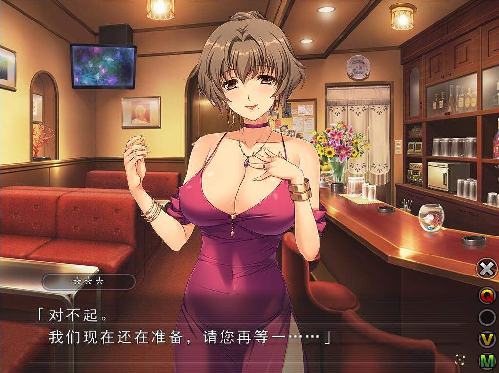妻中蜜2完整汉化版 游戏截图 2