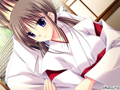 拔作ADV/汉化丨プリ☆さら ~ドキドキ×らぶらぶWファンディスク~AI汉化版+全CG存档【20250123】 游戏截图 6
