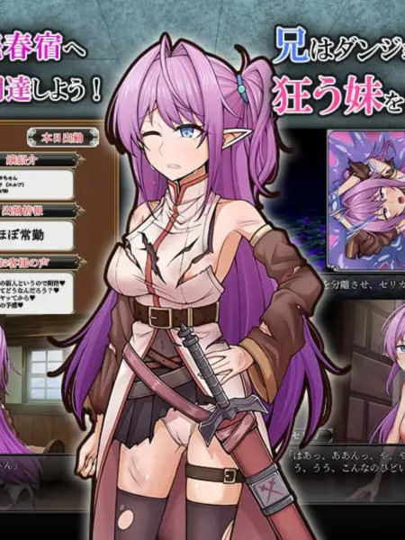 RPG/AI汉化丨 网络出轨发情精灵妹妹剑士塞莉卡 ネトラレ発情エルフ妹剣士セリカ +存档 【20241102】