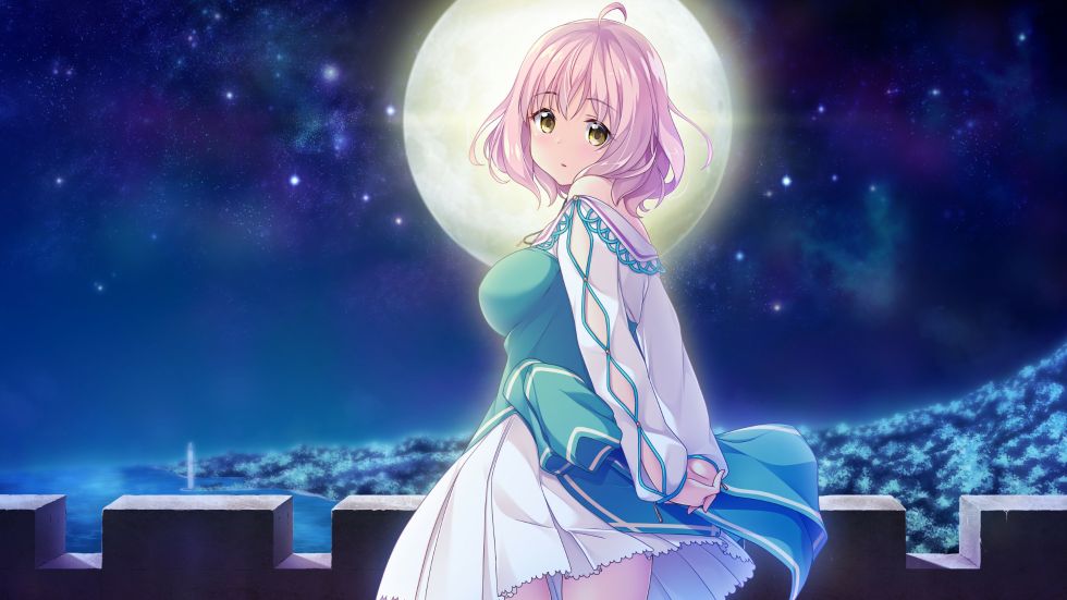 【部分汉化】Harem Kingdom -ハーレムキングダム- 游戏截图 6
