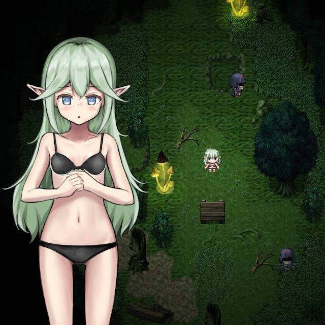 埃里奥和妖精之森V1.01