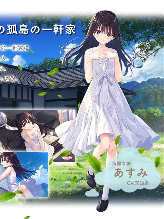 爆款RPG/动态/官中/追加DLC4丨痴情哥哥与病弱妹妹的乡间生活 エッチで一途なド田舎兄さまと 官方中文版+DLC1+2+3+4【20260107】