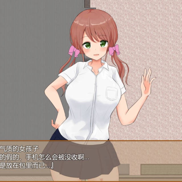 NPC奸私立学校