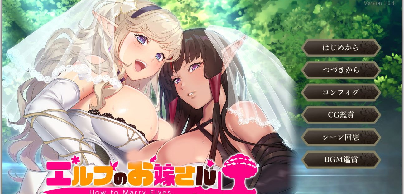如何与精灵结婚~后宫结婚推奖 正式完全版 游戏截图 3