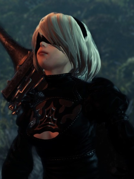 魔物猎人2B 家园版