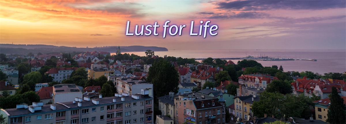 现实真人HTML浏览器汉化丨对生活的渴望:一个娘娘腔的故事 Lust for Life A Sissy Story 丨v1.0【20231005】 游戏截图 3