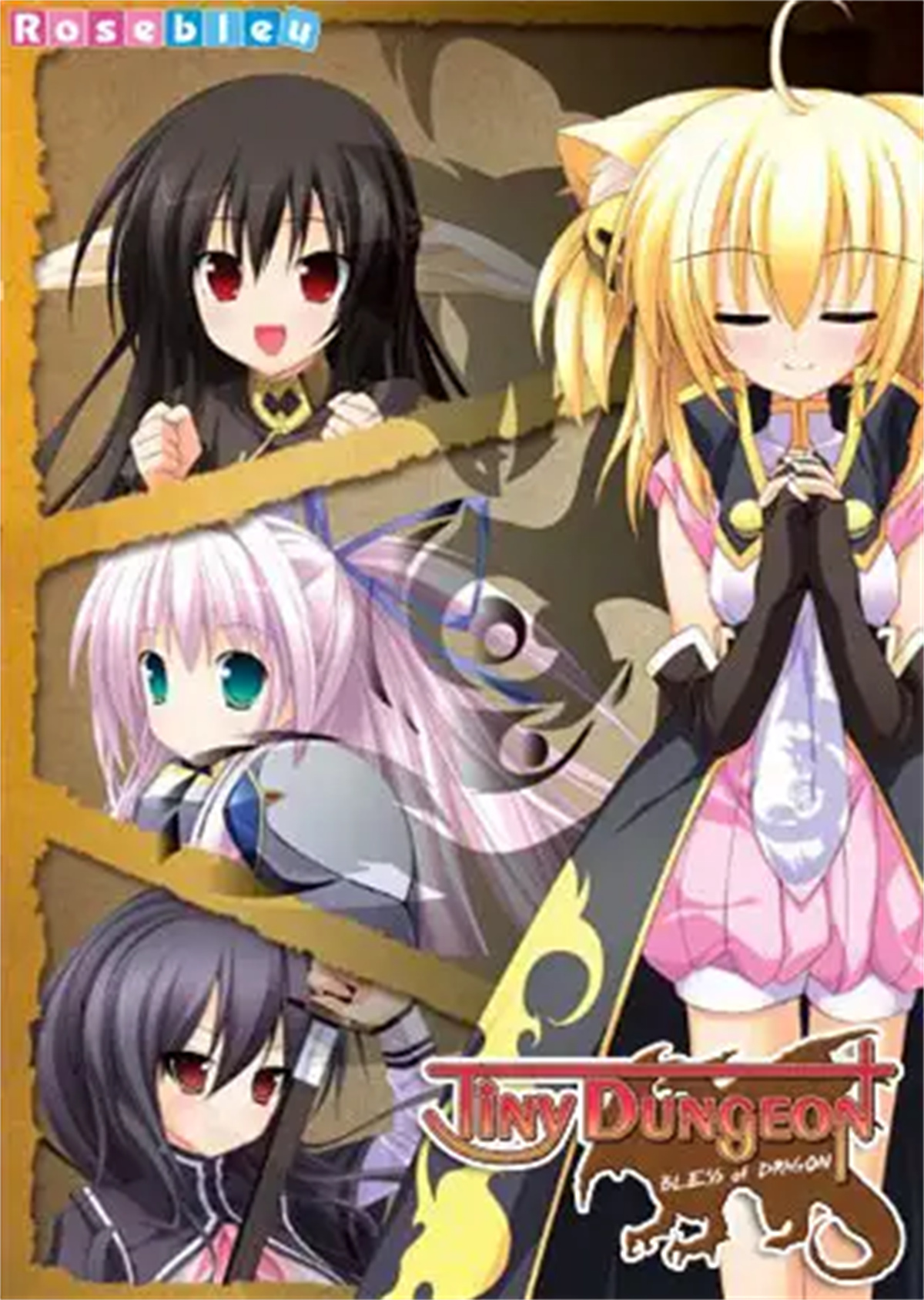 Tiny Dungeon ~BLESS of DRAGON~ 游戏截图 6