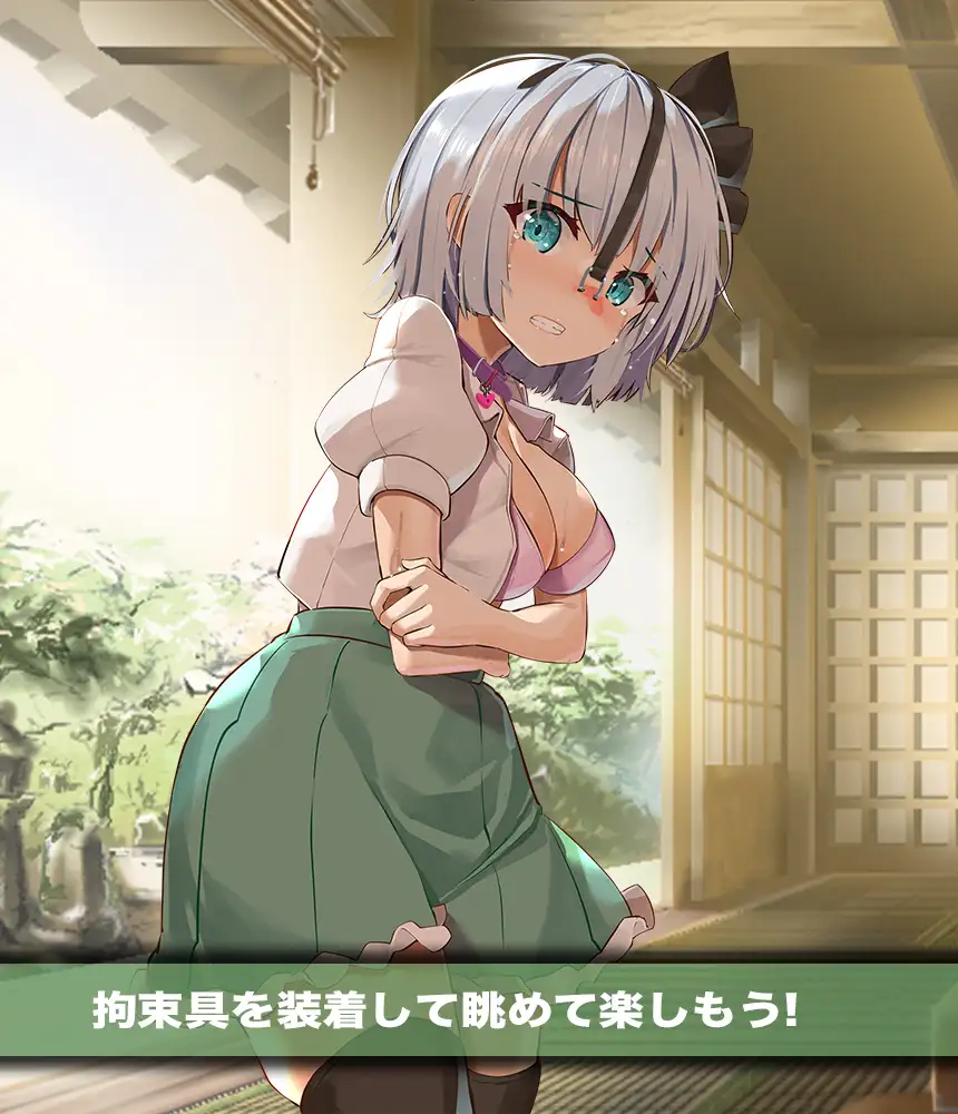 互动SLG/新作/PC+安卓丨緊縛妖夢クリッカー【20231119】 游戏截图 7