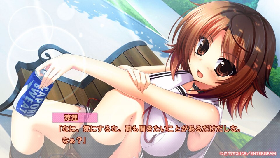 NADESHIKO REVOLUTION 精翻汉化版存档+攻略★全CV【20221118】 游戏截图 5