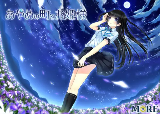 菖蒲城镇的宁静公主/あやめの町とお姫様 中文硬盘版【20230210】 游戏截图 3