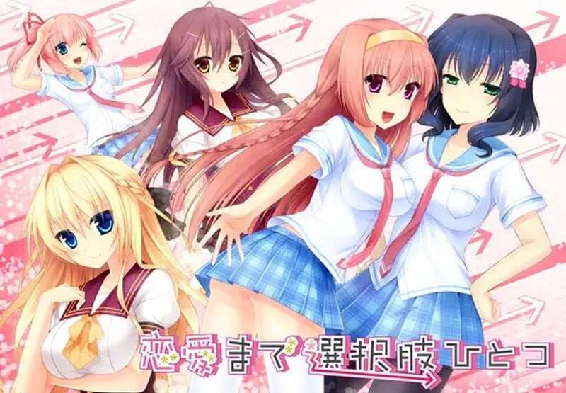拔作ADV/后宫/PC丨 只有一种选择通往恋爱 恋愛まで選択肢ひとつ v1.0 AI汉化+全CG存档 --转区运行【20250115】 游戏截图 6