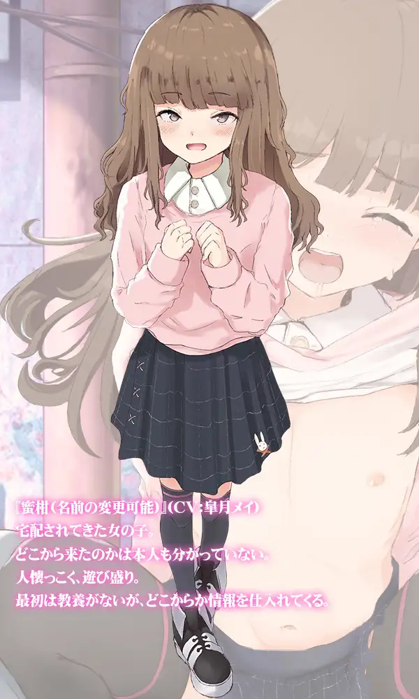 送达的方式 快递宅女！お届け!宅配娘!【20230315】 游戏截图 6