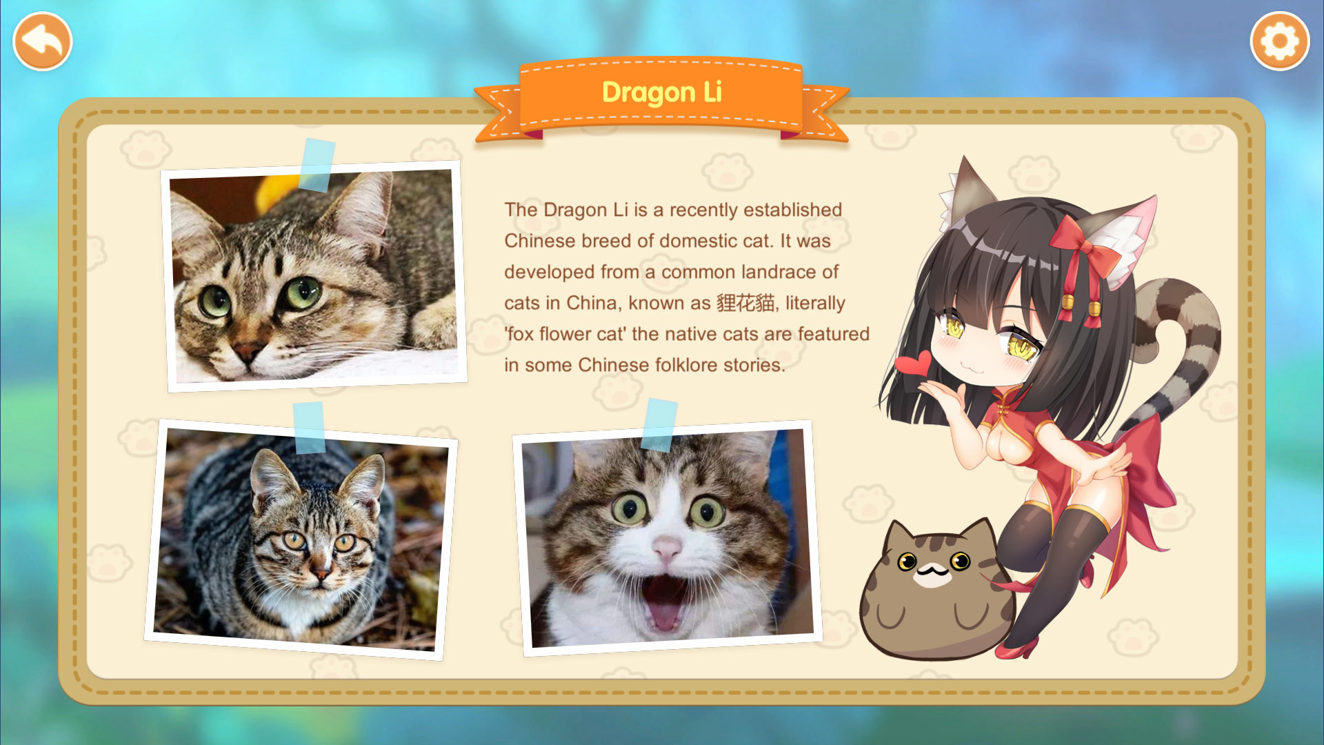 猫小姐2/Miss Neko 2 STEAM官方中文步兵版【PC0901】 游戏截图 2