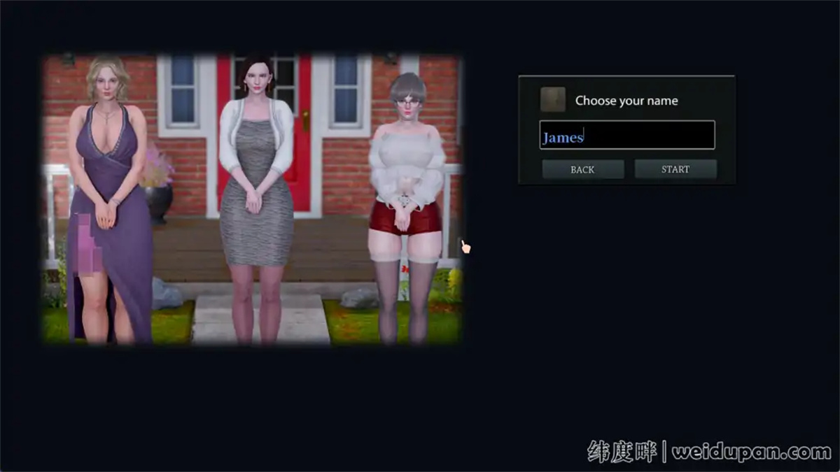 沙盒SLG精翻汉化动态丨欲望村 欲望小镇 Lust Village v0.45【20230817】 游戏截图 4