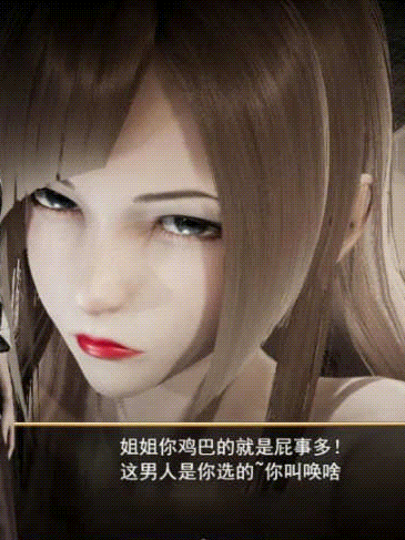 侵染：命运轮回双子篇 V2.0官方中文作弊版