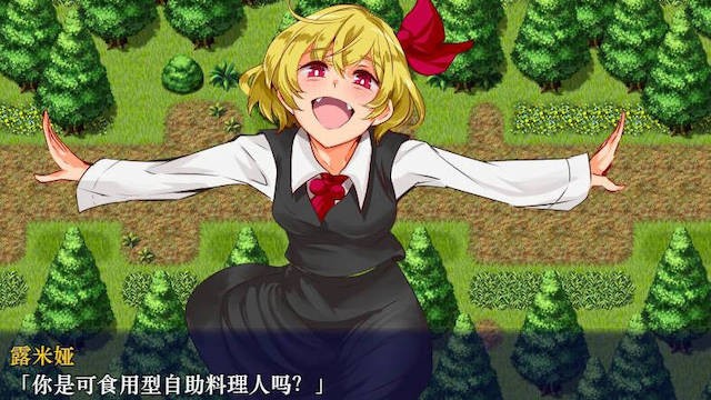 时间停止幻想乡 游戏截图 1