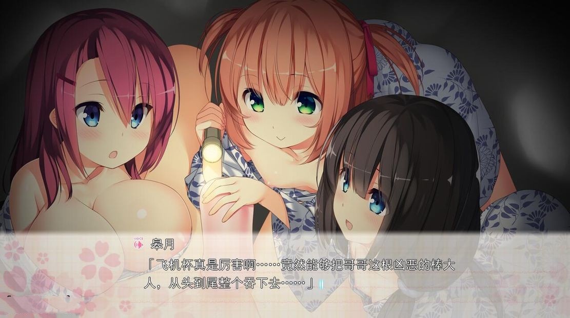 日式ADV/伦理丨 和娇嫩欲滴的妹妹们一起前往情欲满满的温泉旅馆!~汉化版 【20240814】 游戏截图 8