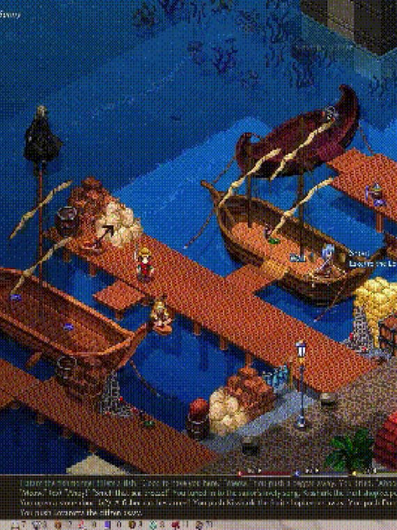 顶级大作RPG/官中/动态丨伊琳 艾琳 Elin v23.252 Steam官方中文最新版+MOD整合 【20260107】